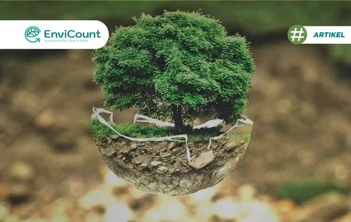 Contoh dan Cara Megurangi Jejak Karbon - EnviCount