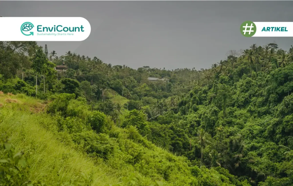 Hutan Konservasi 4 Jenis, Contoh dan Fungsi Utamanya - EnviCount