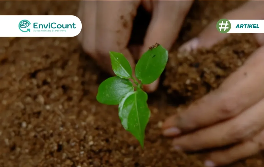 Konservasi Sumber Daya Alam 4 Manfaat & Contoh Penerapan - EnviCount