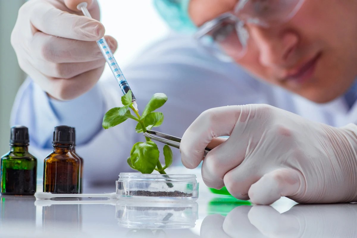 Konservasi Lingkungan: 5 Tujuan, Contoh dan Metodenya 11 Peran Bioteknologi dalam Konservasi