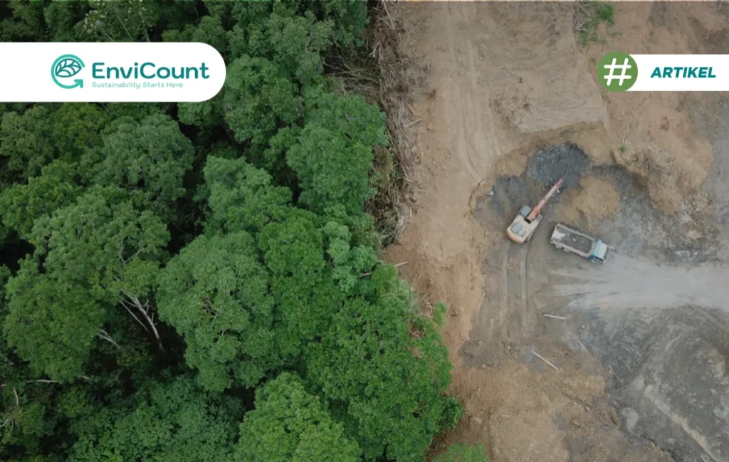 Reforestasi 4 Tujuan Utama dan Tantangan Pelaksanaannya - EnviCount